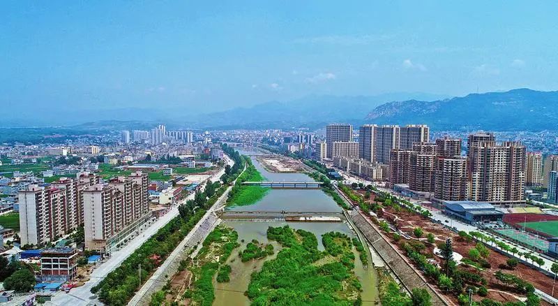 李正善和丹凤眼,李正善作品