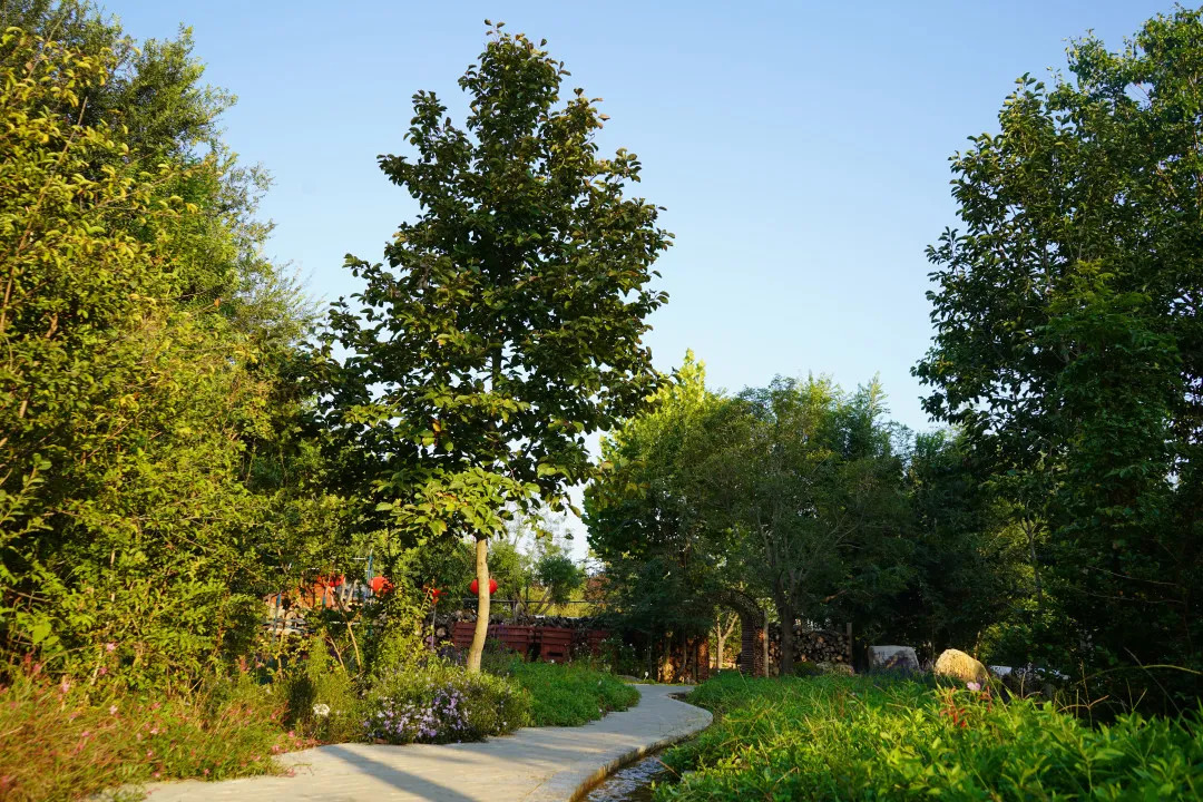 描绘乡村美丽新画卷,描绘中国美丽新画卷