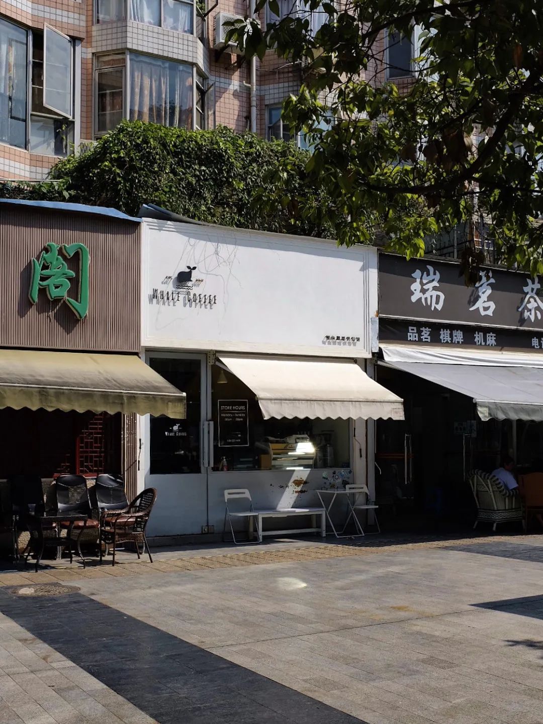 带地图去旅行,带地图回大明