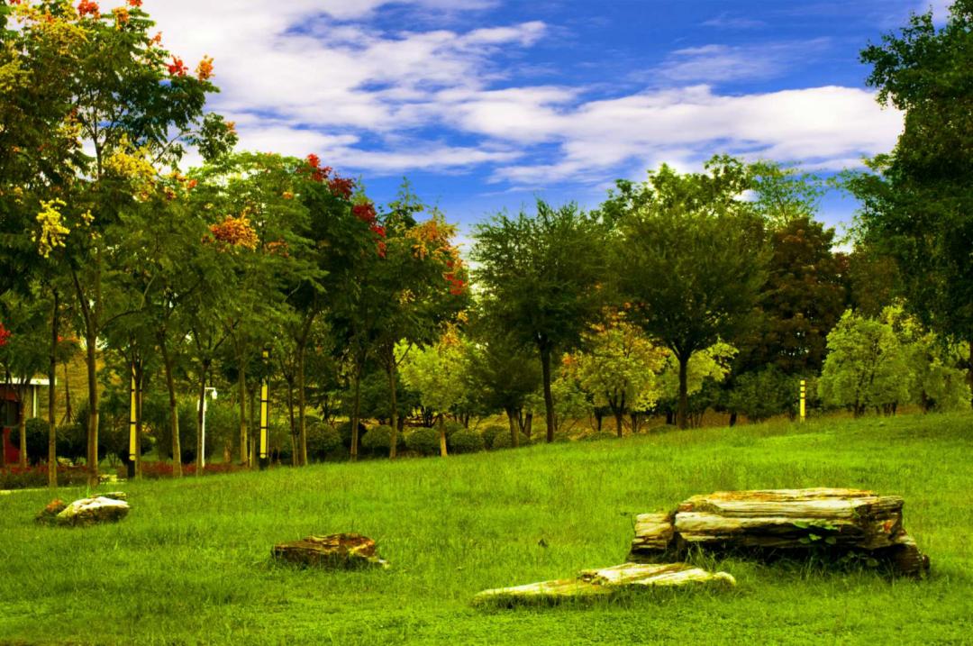 最美风景摄影作品,最美的风景摄影作品欣赏