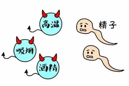 全球男性精子危机,日本男性精子质量