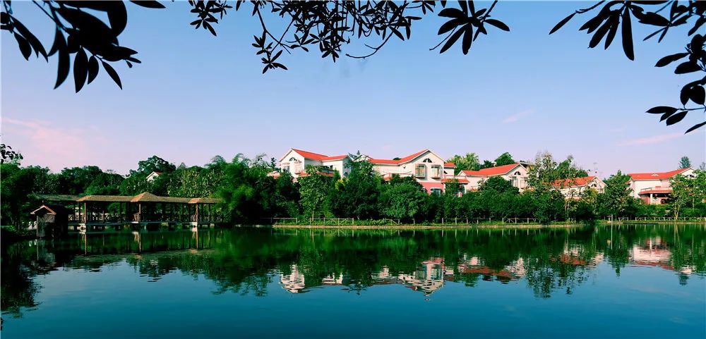 上车旅游打卡,上车打卡下车打卡