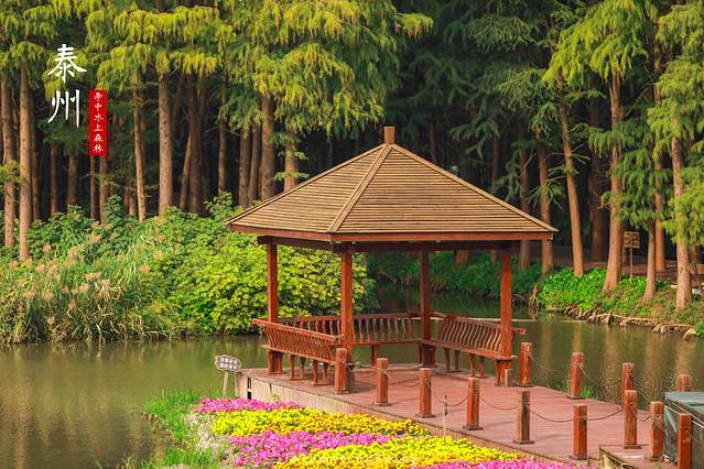 泰州水城有什么好玩,水城泰州