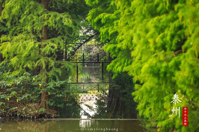 泰州水城有什么好玩,水城泰州