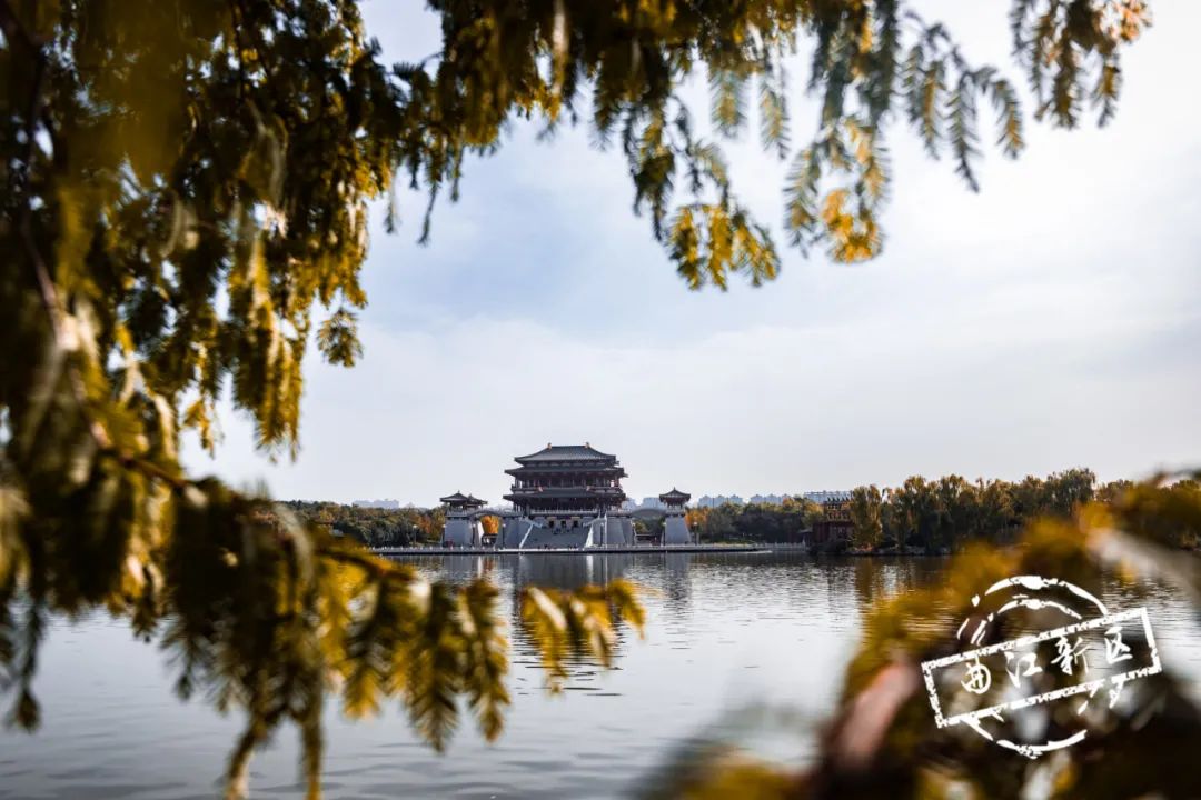 曲江秋天风景,曲江的秋色