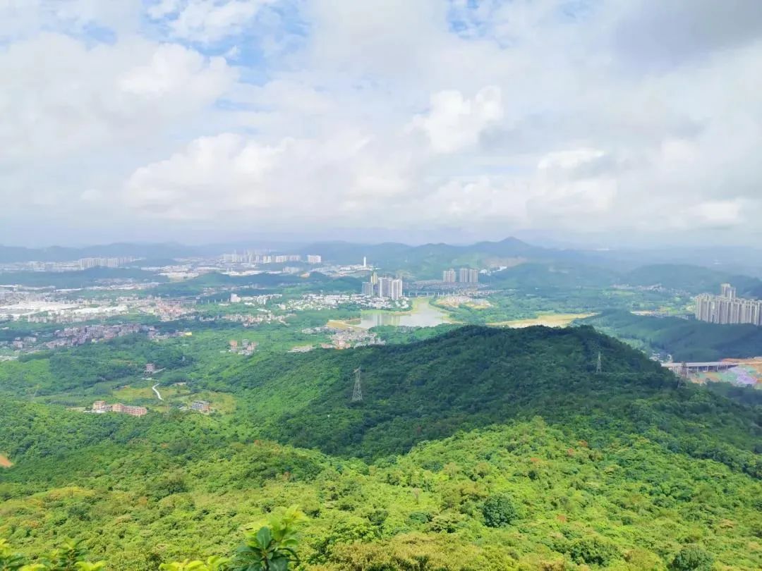 花莞高速最新路线规划,花莞沿高速旅游攻略