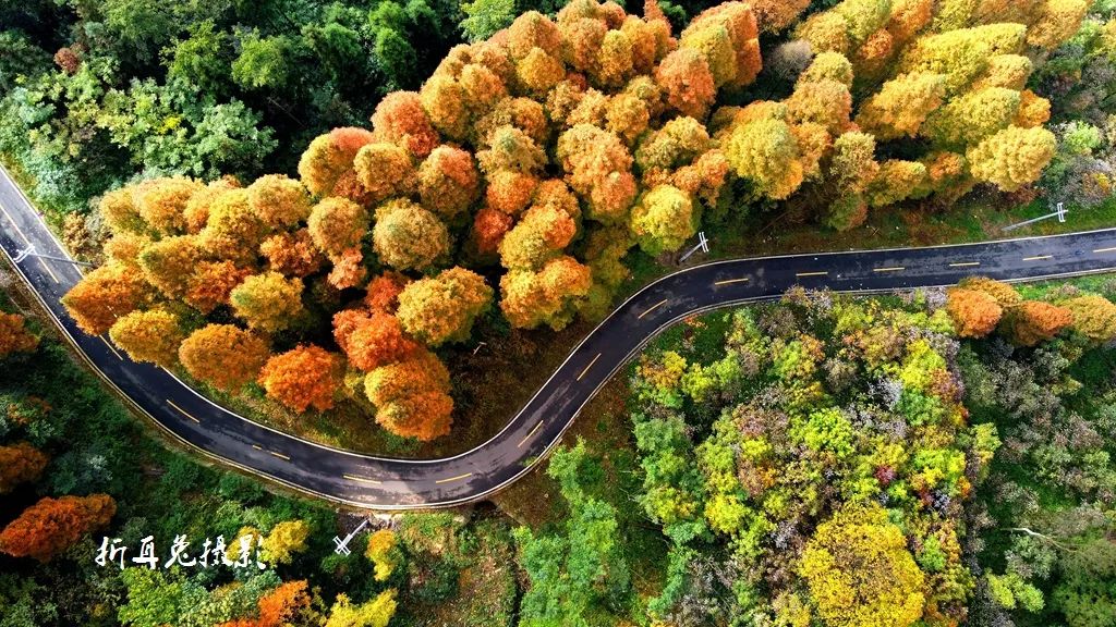 初秋彩林成都周边秘境,成都附近彩林秘境