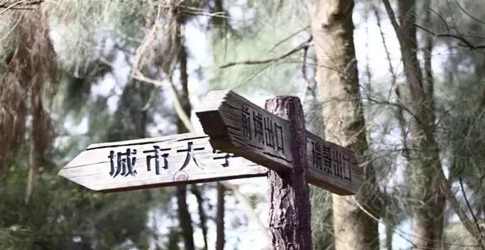 爬厦门仙灵棋山看日出,厦门周边登高望远的地方