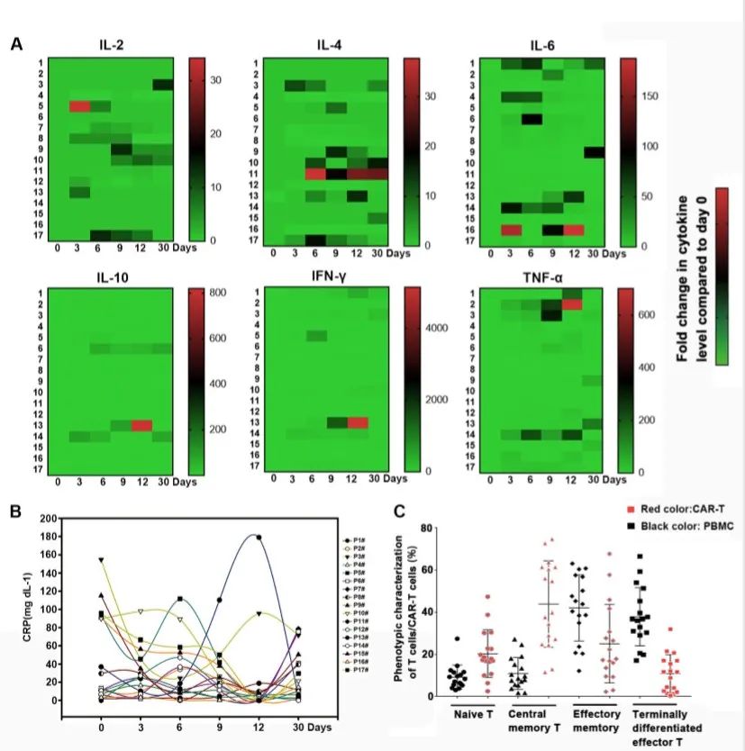 car-t治疗淋巴瘤最新研究进展,CD19CAR-T新药项目
