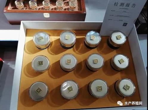 2022年海参生意难做吗,海参产业前景