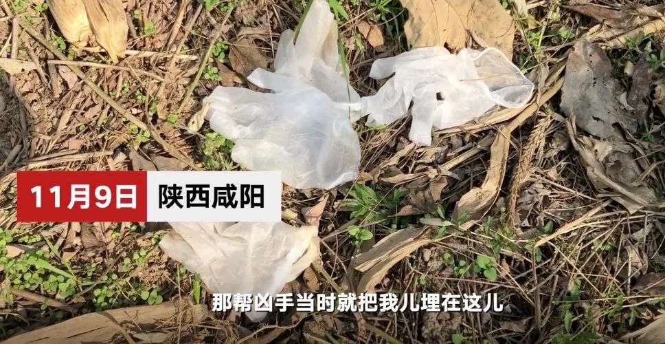 11月11日|新早读！刑拘！女子这事儿两年结婚离婚28次