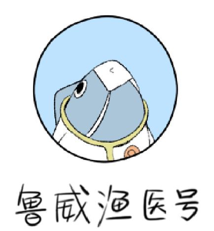 鲁威渔医号丨肺“肿了”怎么办？