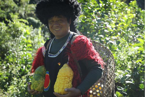 天猫双11超2000亿a股消费爆发,双循环扩大消费