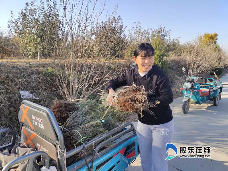 小草沟乡村旅游度假村,乡村旅游景点提质升级