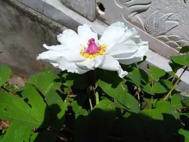 昆明嵩明玩的地方,潮玩派对昆明店