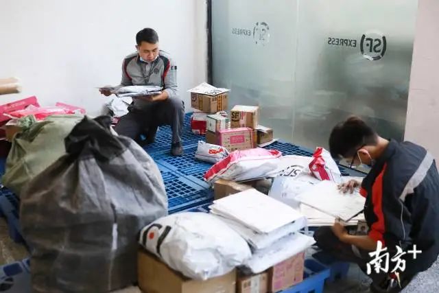 双十一堆成山的快递如何派件？东莞快递人这样做！