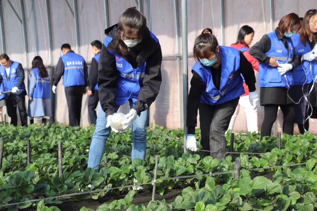 乡村振兴中的文化力量,陪伴式帮扶乡村振兴