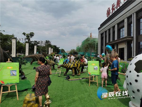 闀挎埧闆嗗洟瀹佷埂椤圭洰,婀栧崡闀挎埧闆嗗洟浣忓畢鍝佽川