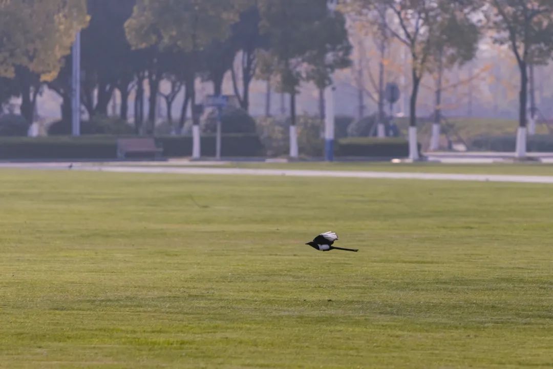 清北现在的情况,清北最新消息