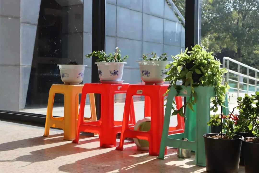 清北现在的情况,清北最新消息