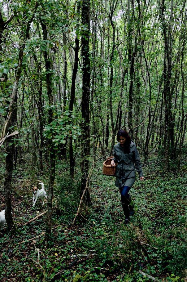 养十几只狗狗博主,网红养小土狗日常