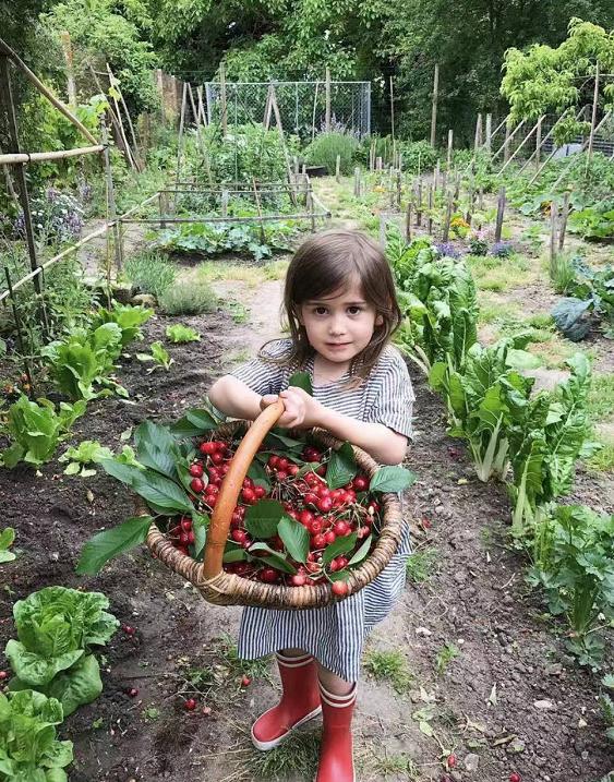 养十几只狗狗博主,网红养小土狗日常