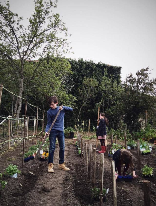 养十几只狗狗博主,网红养小土狗日常