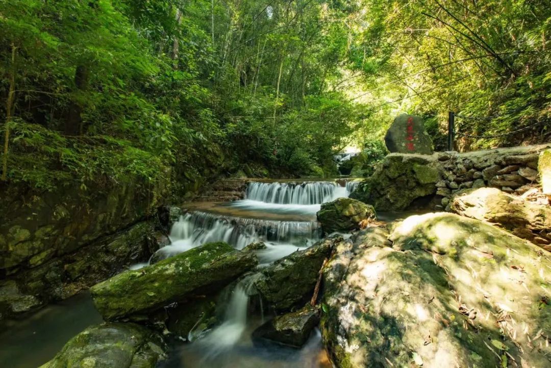 一年一度千年瑶寨盘王节,盘王节欢迎您