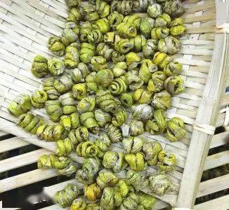 四川石斛,四川石斛种植基地