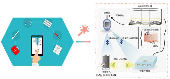 细菌“光系魔法”助力手机智能医疗