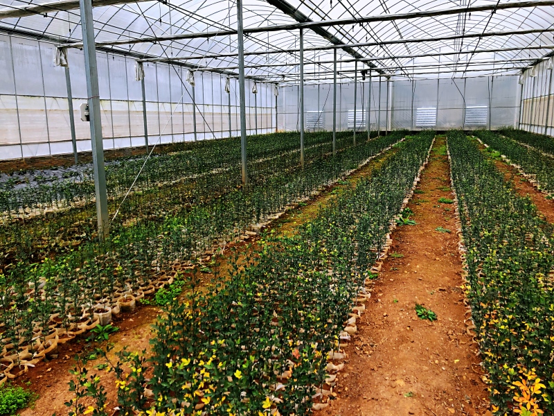 生态养鸭致富经历,生态水养殖致富案例