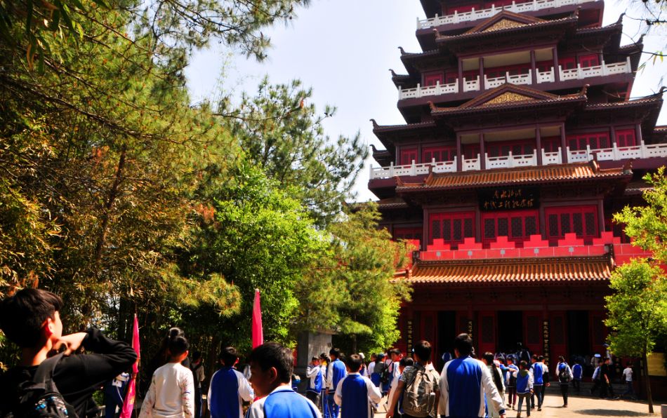 读万卷书行万里路畅游书海,读万卷书行万里路研学视频