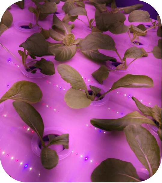 像嫦娥五号一样，去“月宫”挖土！这些学校的劳动课堂爱了爱了！