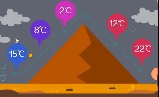 林子大了什么鸟都有下一句,林子大了啥鸟都有歌曲