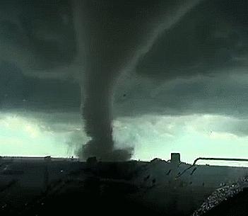 林子大了什么鸟都有下一句是什么,林子大了啥鸟都有讽刺图片