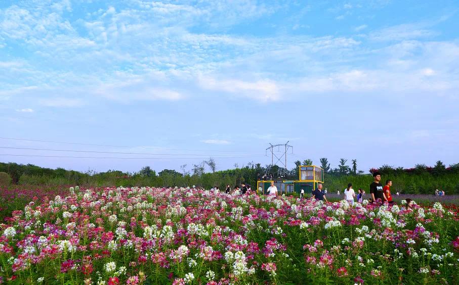 杜邑公园雪景,杜邑遗址公园6月风景