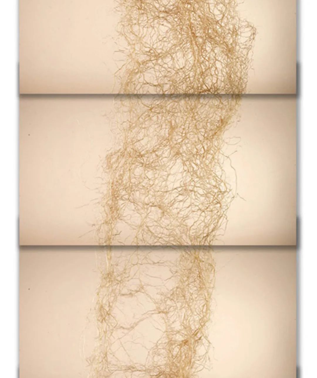 土这种物质，可太冤了