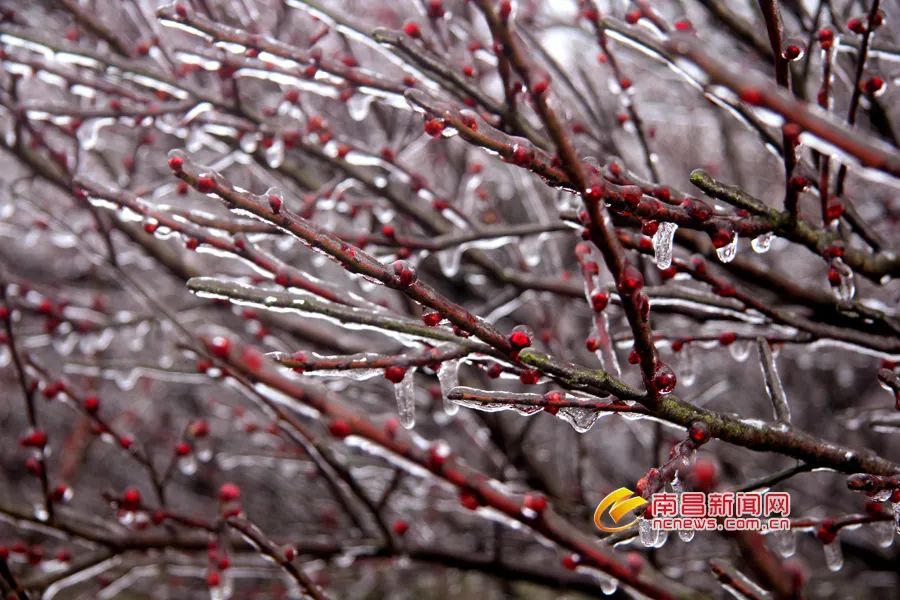 南昌冬天小孩玩的地方哪里好玩,南昌冬天适合去哪里玩
