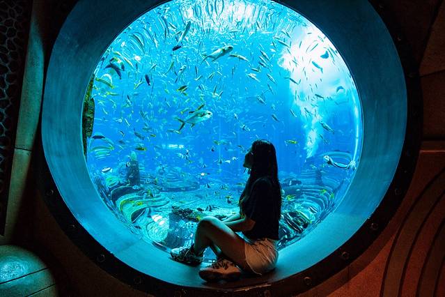 三亚海棠湾希尔顿攻略,三亚湾亚龙湾旅游攻略