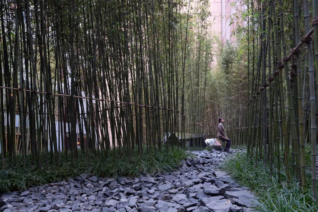 行千里江山，览京室画卷|大兴机场木棉花酒店