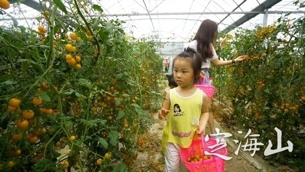 定海游玩推荐适合带孩子,舟山定海带娃好去处