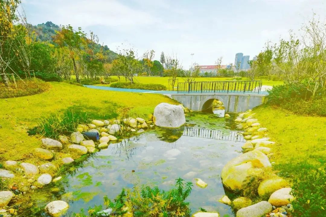 体育公园真人秀,网红体育公园