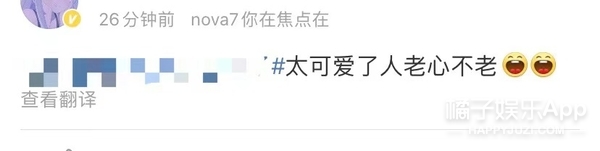 郑渊洁凡尔赛式道歉新闻,郑渊洁经典语录