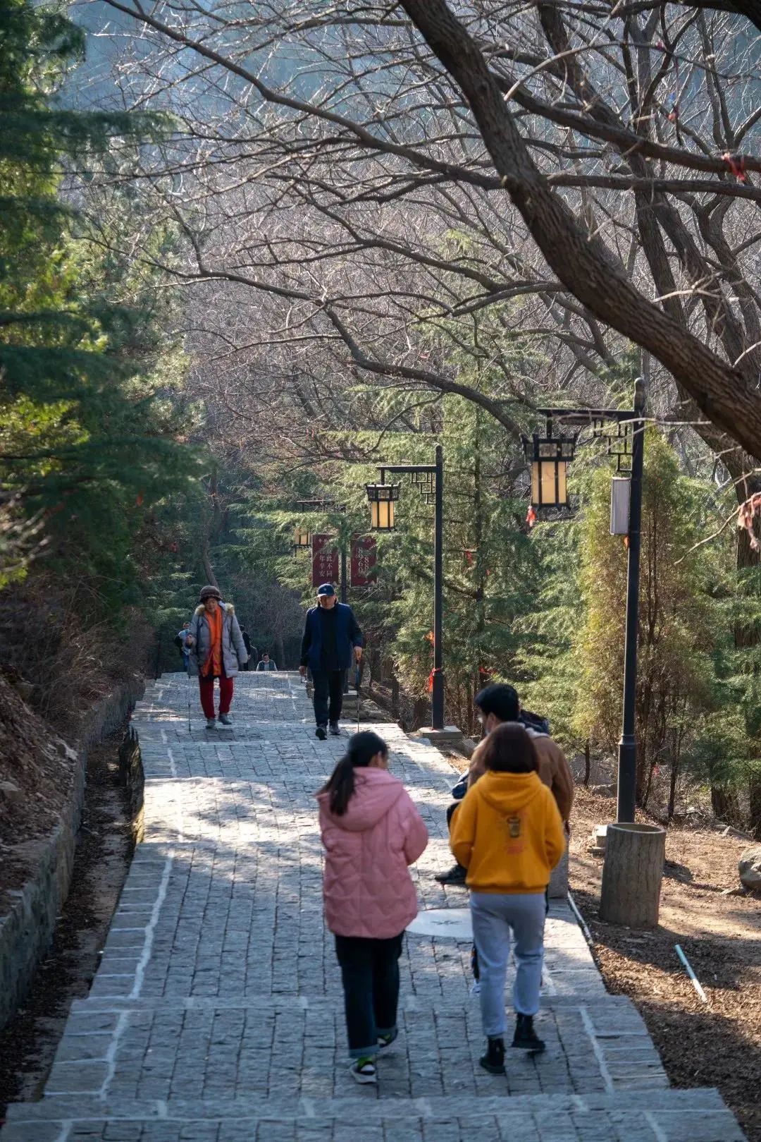 青岛嗨游,嗨游青岛享悦冬季