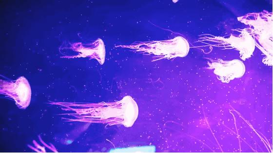 嗨游青岛享悦冬季|美妙的科创海洋之旅，解锁冬日遛娃新玩法！（文末福利）