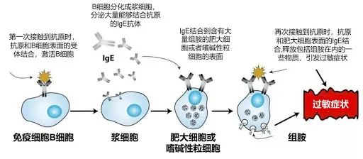 炎症的自述：发生、机理和结局