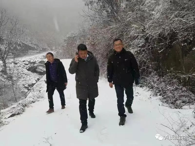 狗不咬铁蛋视频,狗不咬女婿是真的吗