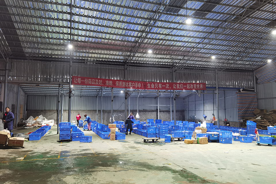 兴盛优选买菜app,兴盛优选最近新消息