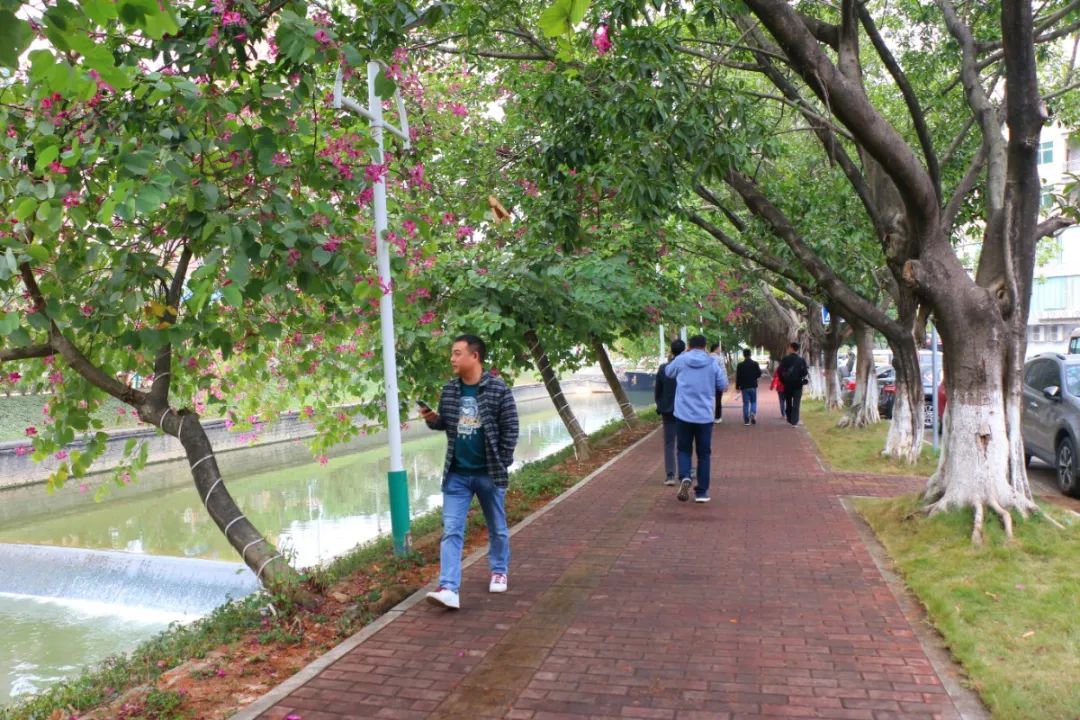 鍏卞缓灞辨竻姘寸瀹跺洯鍥剧墖,鍏卞缓灞辨竻姘寸瀹跺洯瑙勫垝