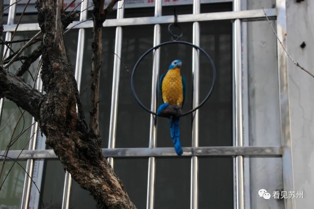 包衙前属于姑苏哪个街道,包衙前